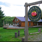 Black Bear Vineyard