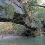 Rock Bridge Hike Trail Head
