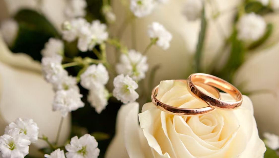 The Wedding Website of Stacy Jocelyn Bencomo and Mehran Hossain