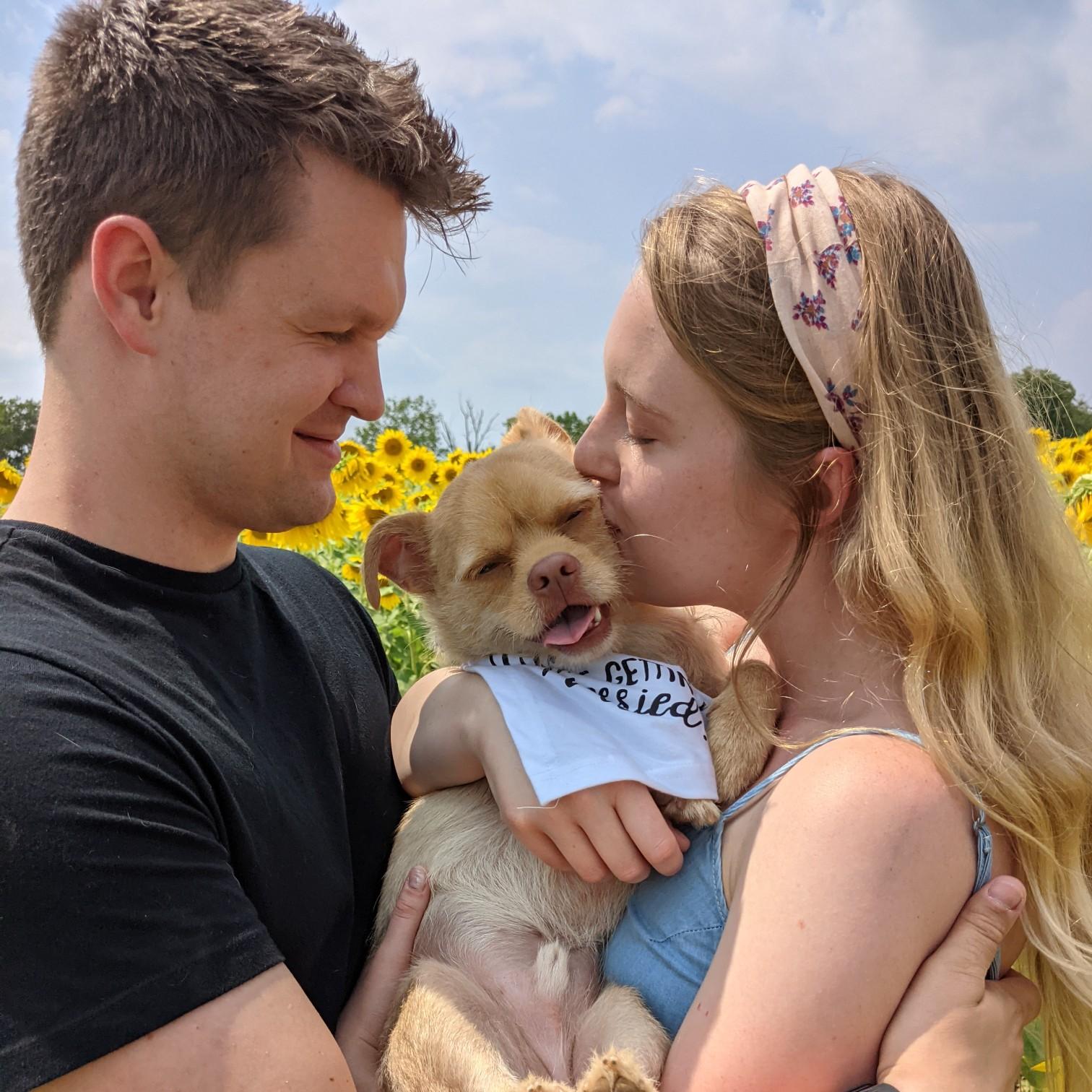 Levi and some sunflowers 🌻