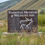 National Museum of Wildlife Art