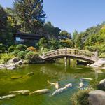 Hakone Estate and Gardens