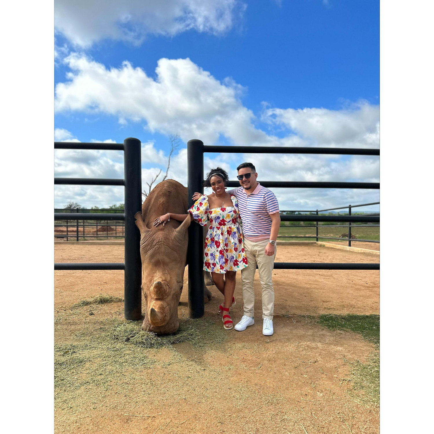 Rhino and Giraffe Conservatory. April, 2023 Fredricksburg, Tx