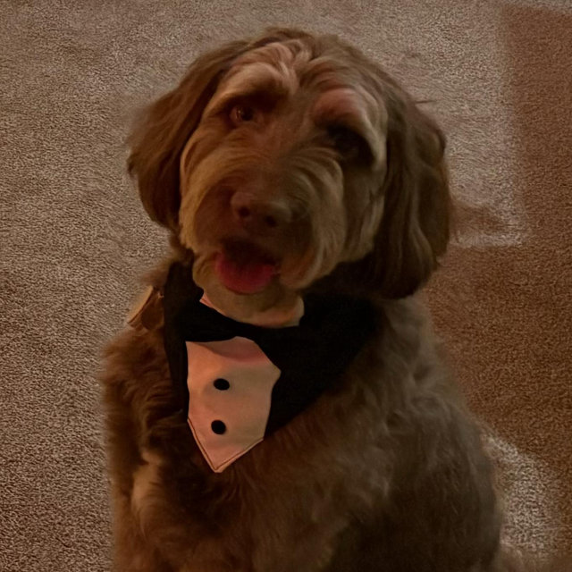 Finn’s Toy Fund