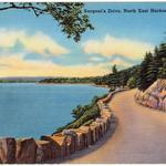 Sargeant Drive
