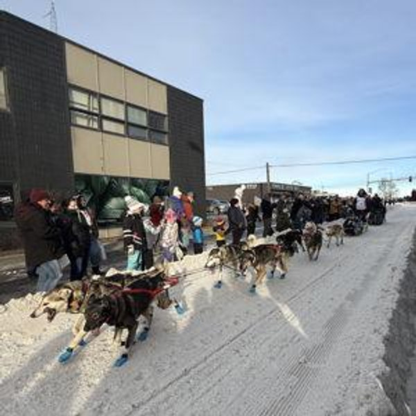 Dogsledding (on our honeymoon!)