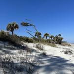Hunting Island State Park