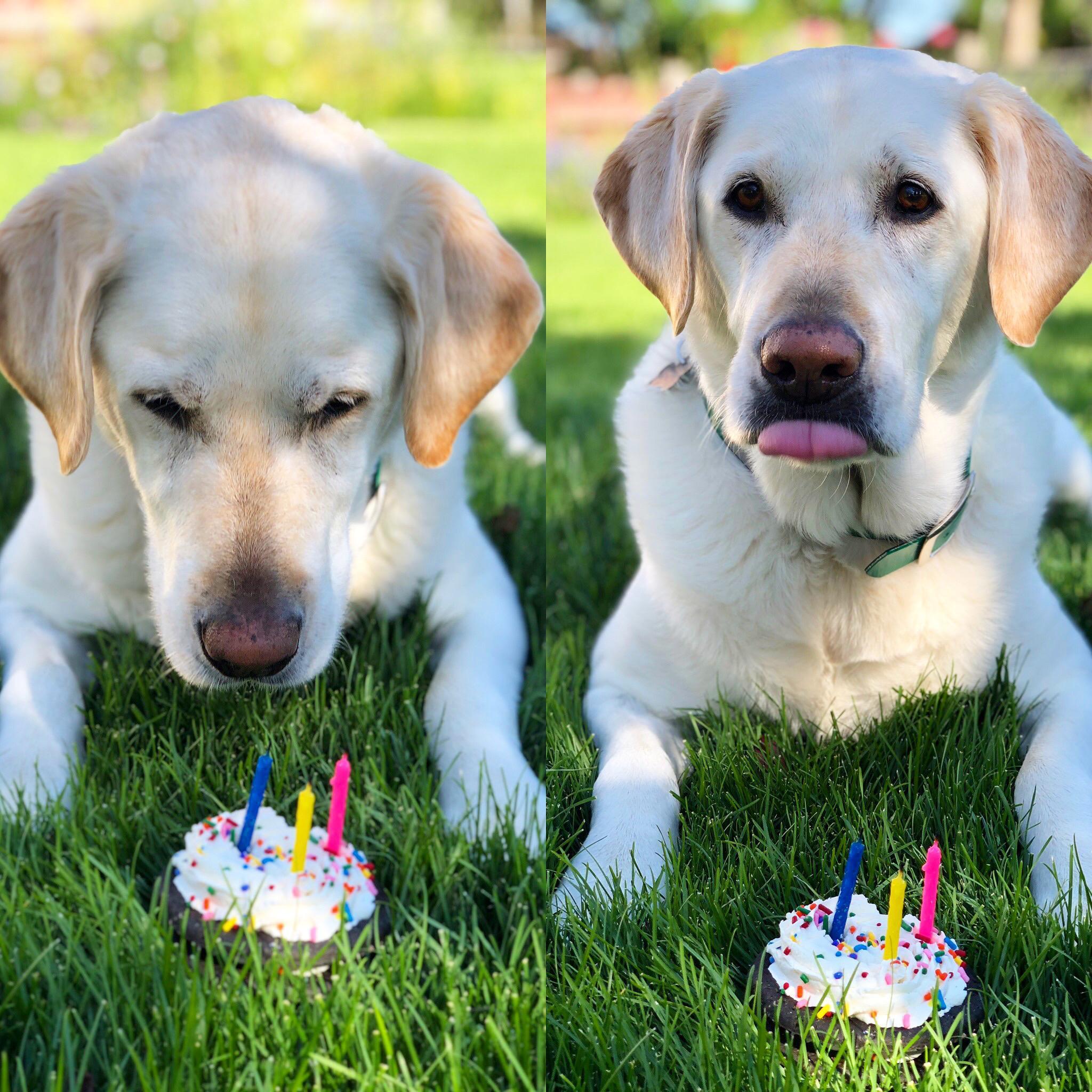Wilson's 9th Birthday!