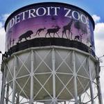 Detroit Zoo