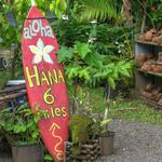 Road To Hana