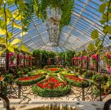 Phipps Conservatory and Botanical Gardens