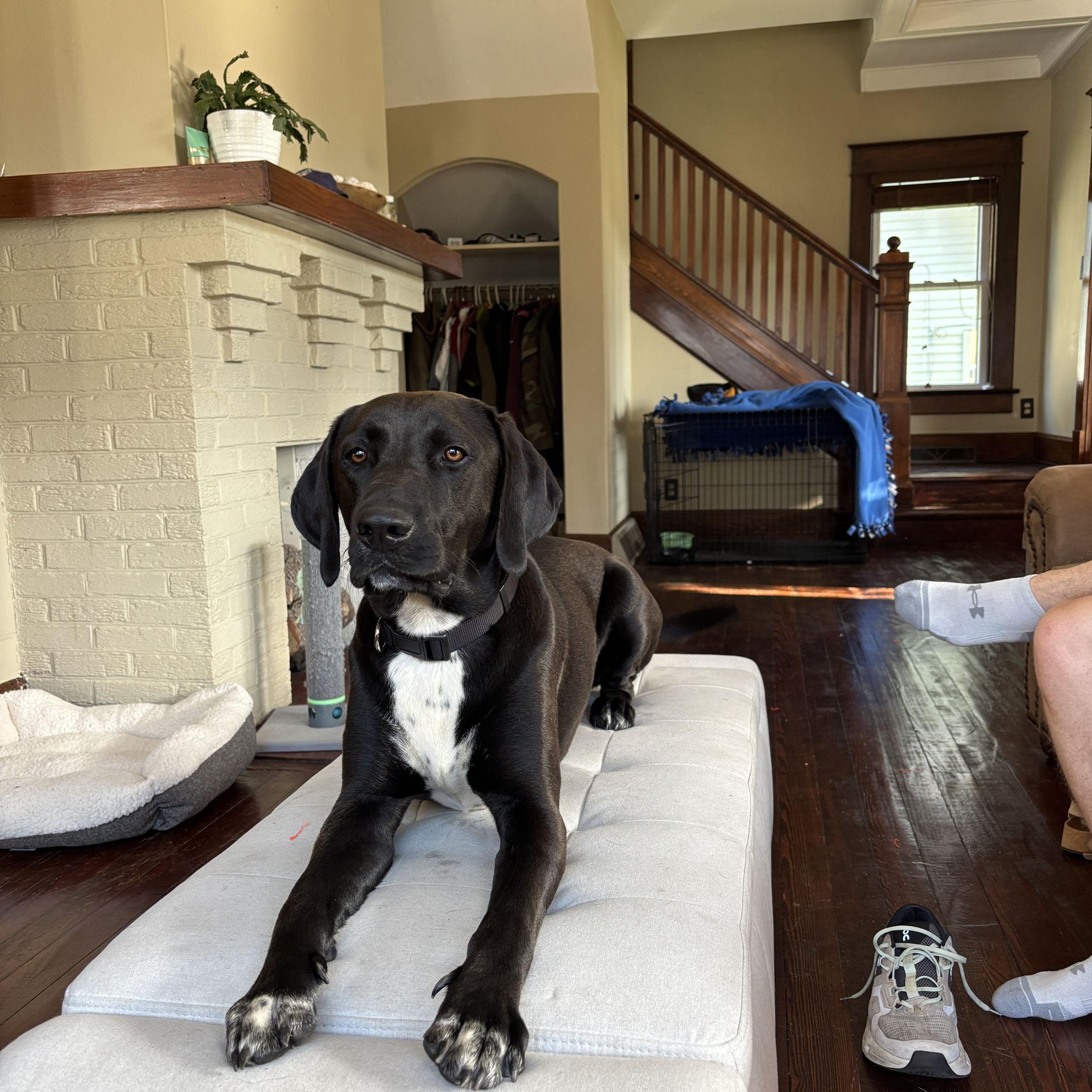 A distinguished gentleman