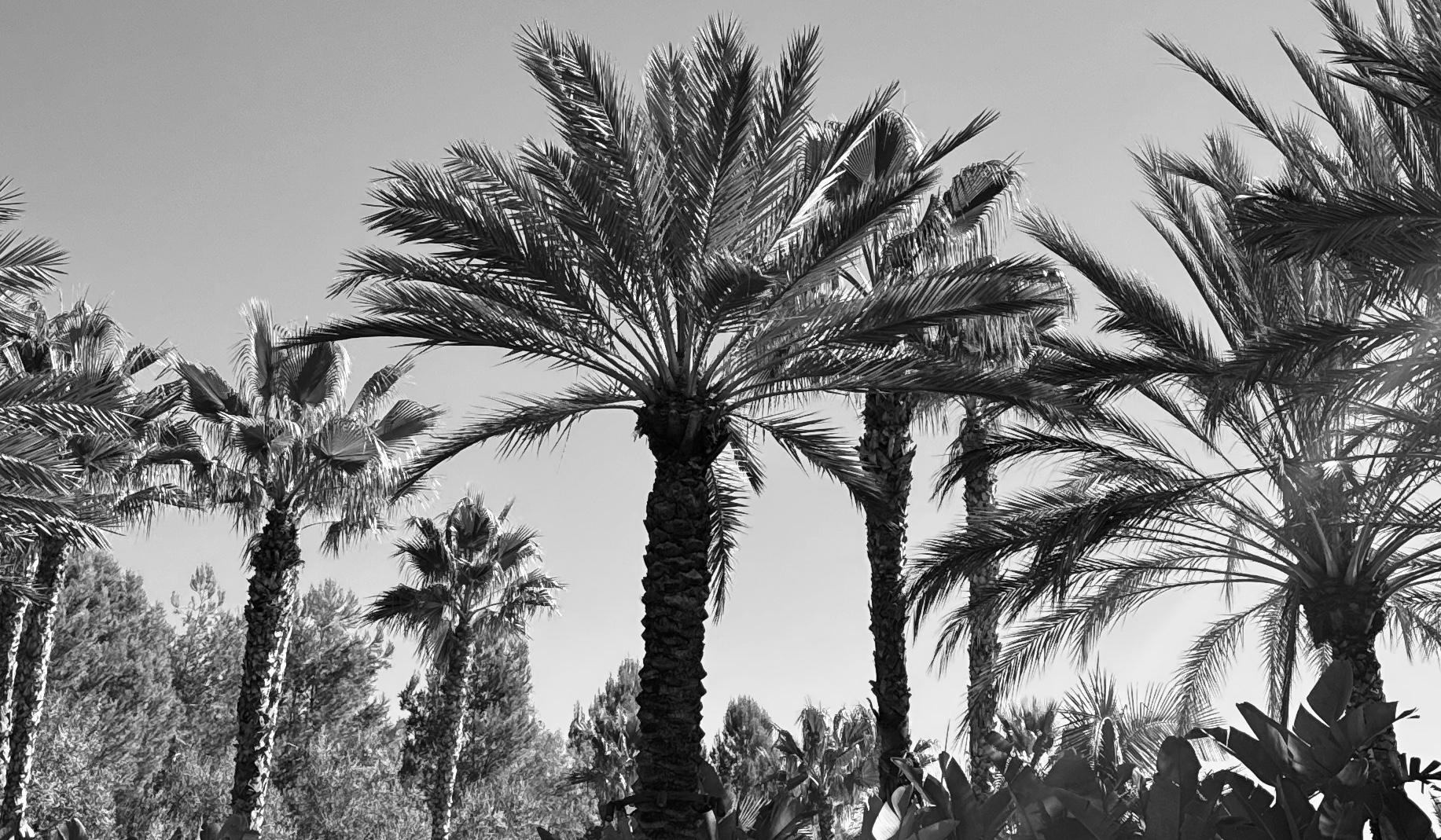 The Wedding Website of Anthony Edward Rivera and Kelsi Mai Nguyen
