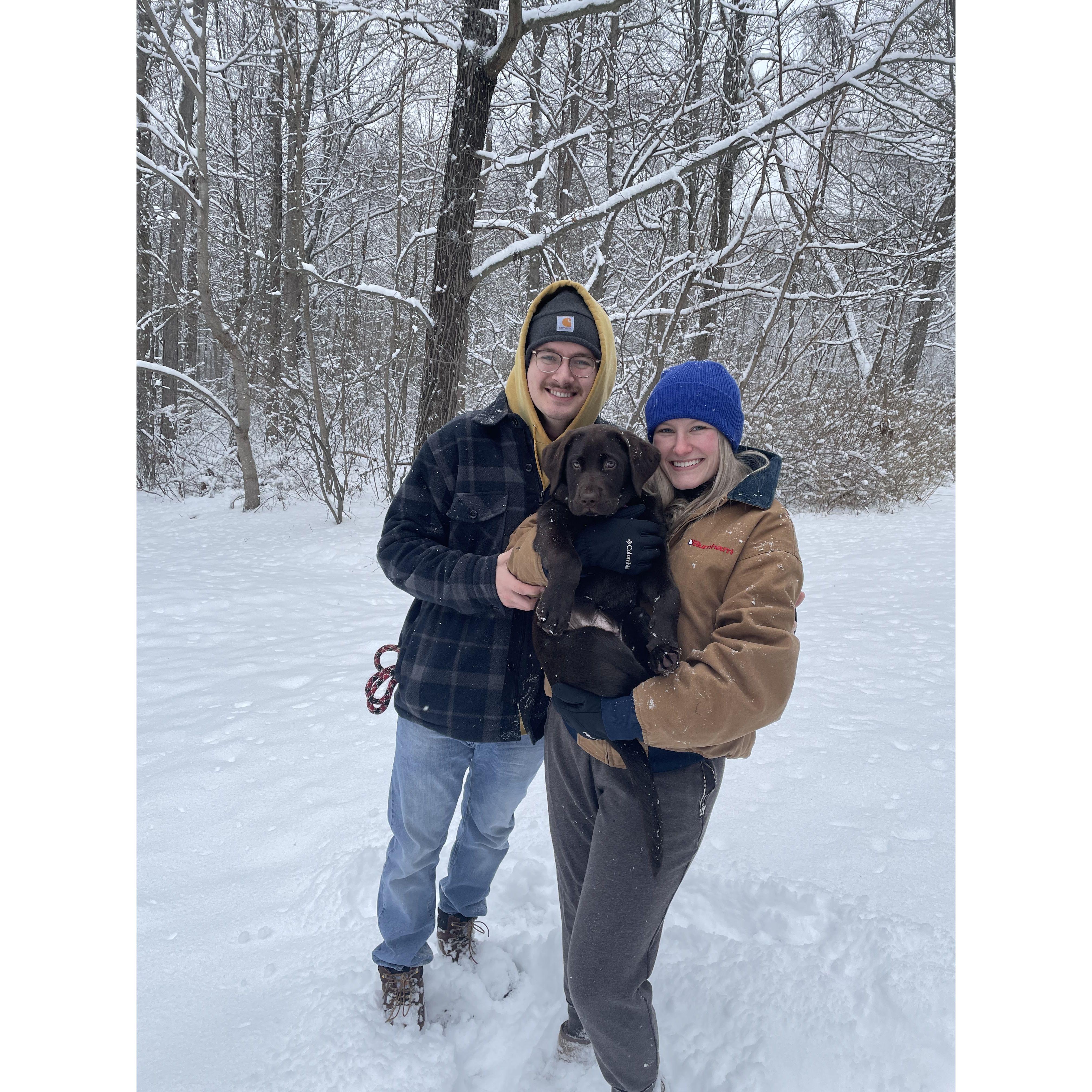 Our girl, Winnie, loves all things outdoors. She is always excited to see the snow, water, or large open fields!