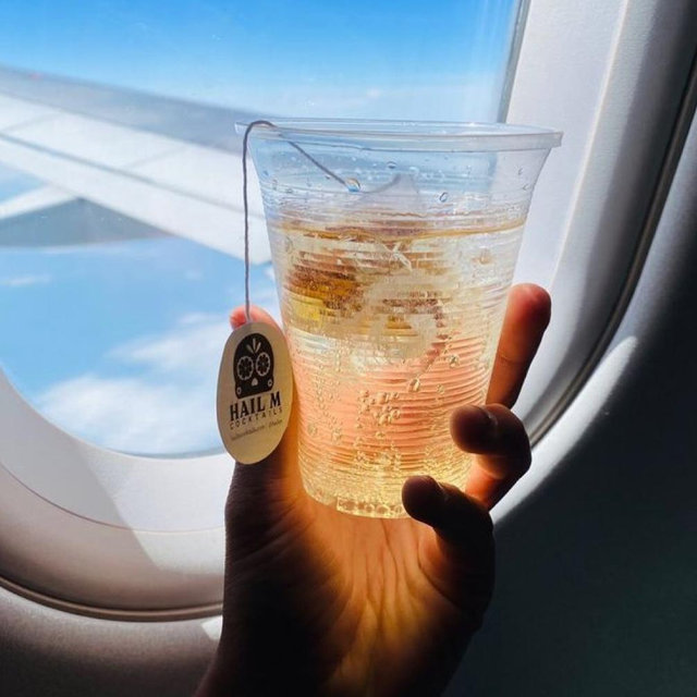 Flight Drinks and Snacks