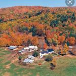 Sugarbush Farm