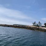 Puffin Boat Cruise