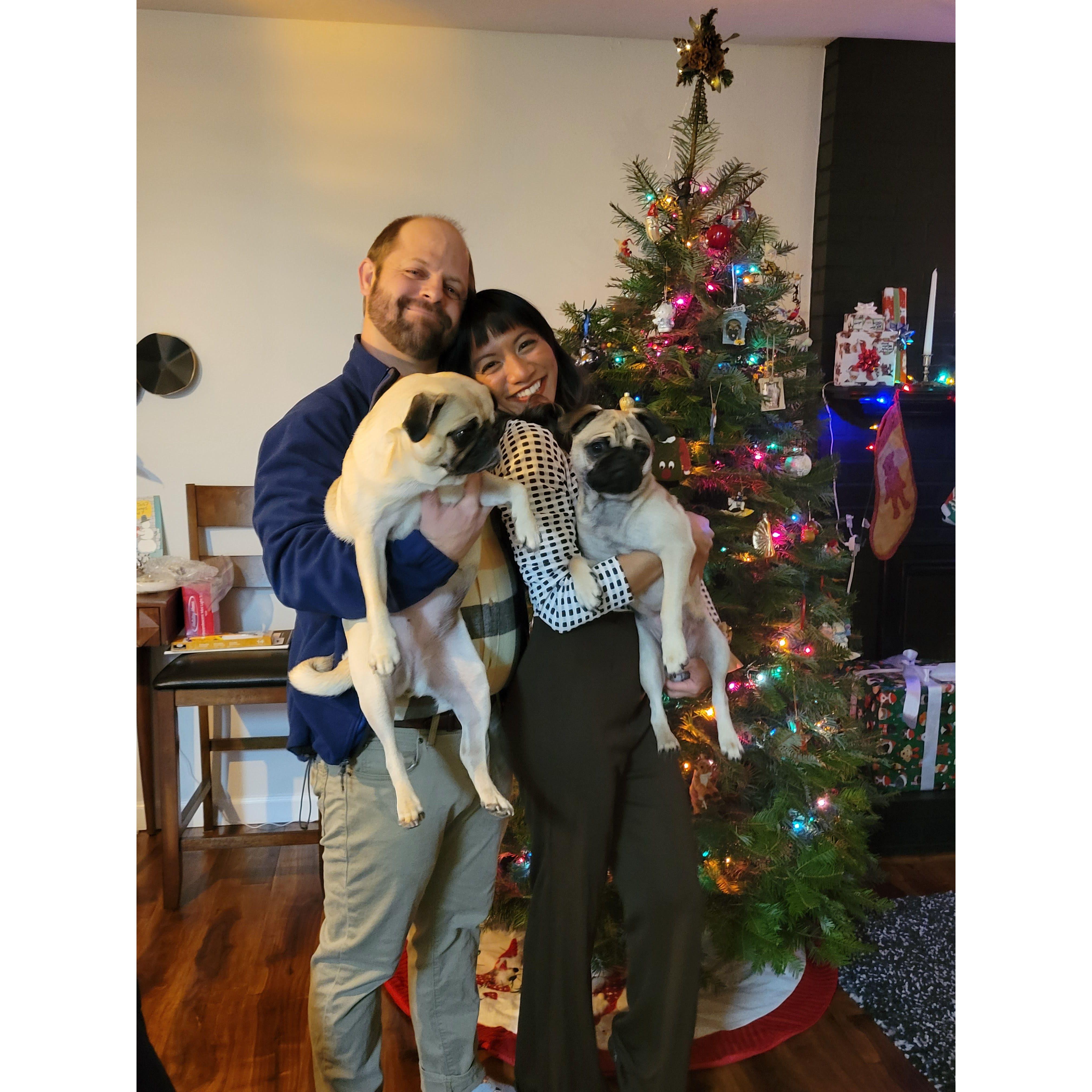 Merry Christmas from the Puglets!