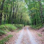 Columbia Trail Trailhead and Parking Lot