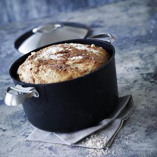 Professional Covered Dutch Oven