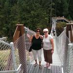 Elk Falls Suspension Bridge