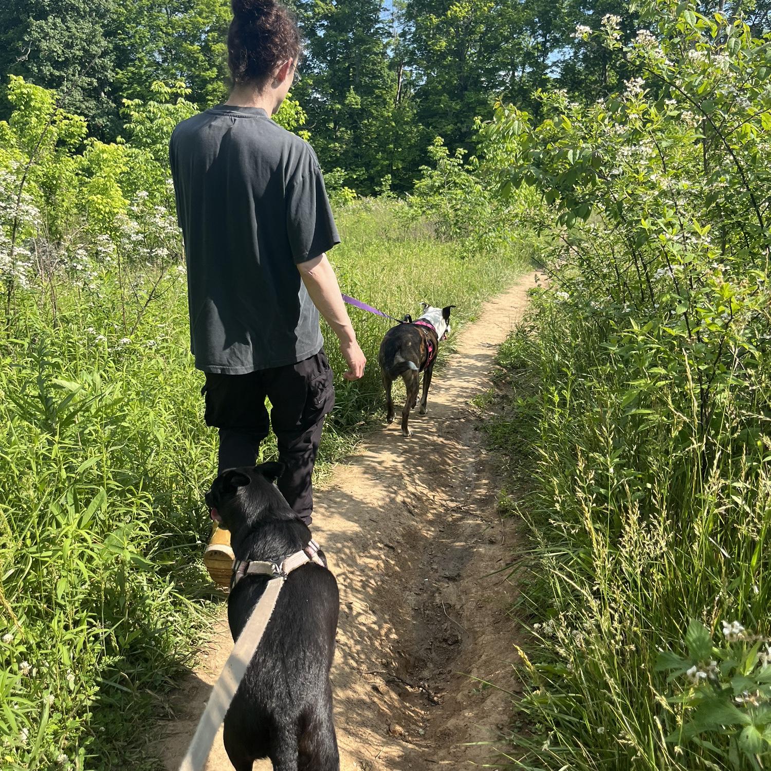 Hiking in Nicholasville, KY ❤️❤️❤️