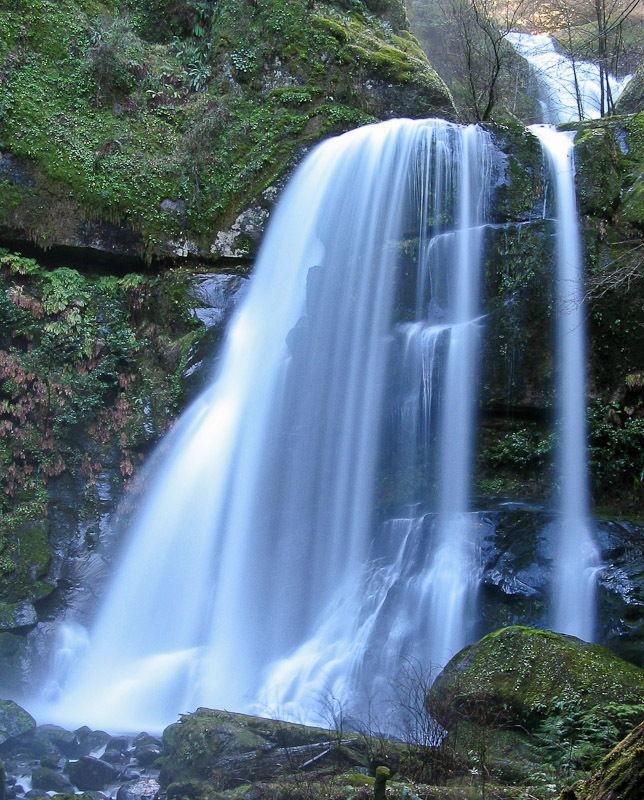 The Wedding Website of Christen Merrill and Robie Kiefer