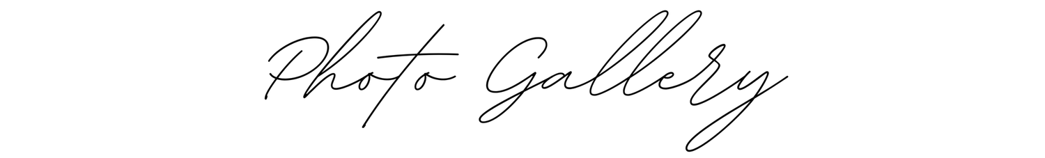 The Wedding Website of Alicia Furnari and Matthew Hibsher