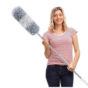 Feather Duster