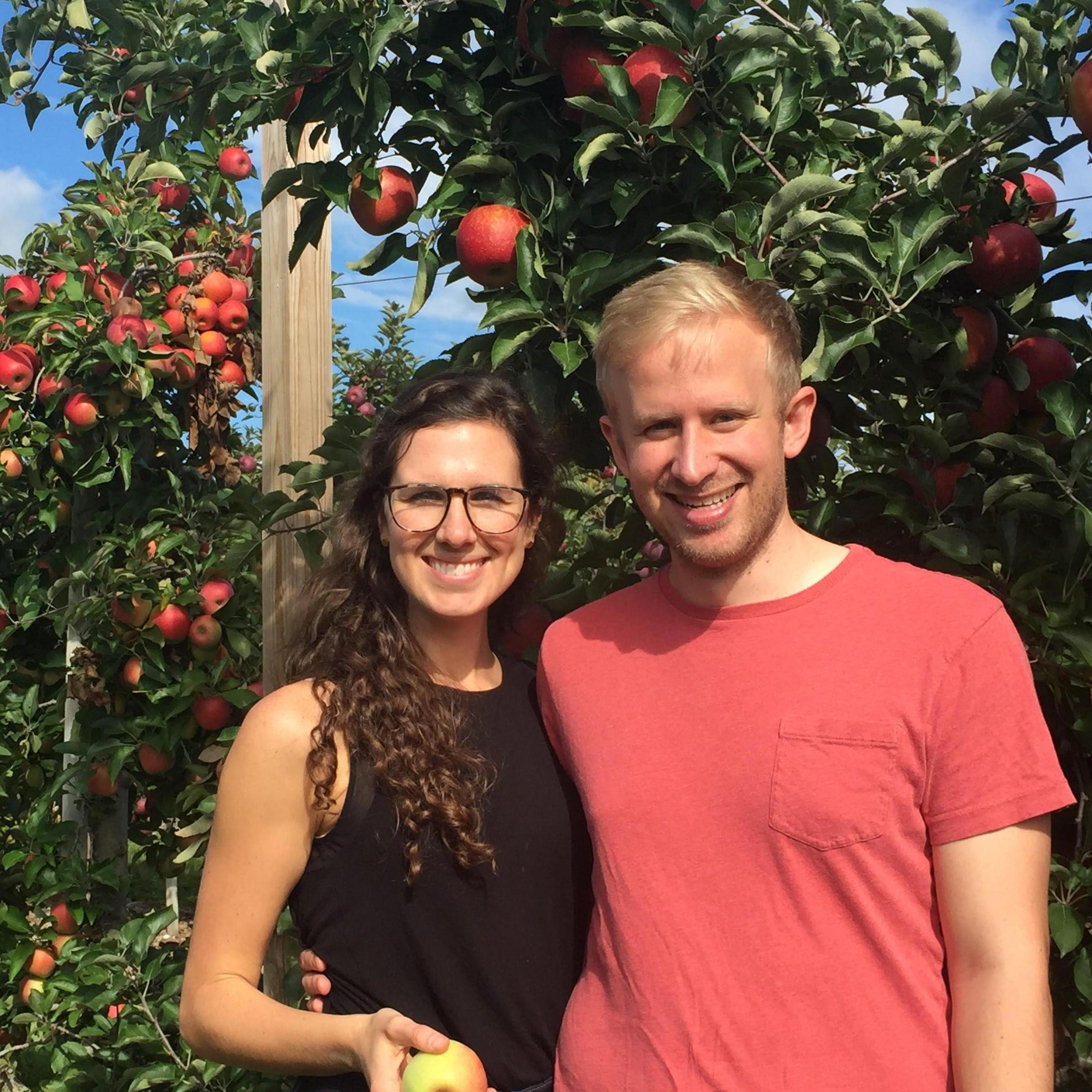 Autumn apple picking