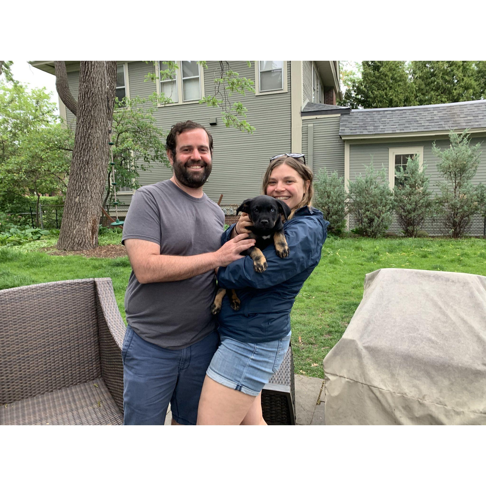 Mezzi adoption day and the day Jonah became the dad meme about not wanting a pet - May 2021