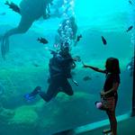 Flint RiverQuarium