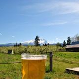 Hood River