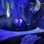 Georgia Aquarium/ The World of Coke