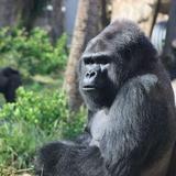 Jacksonville Zoo and Gardens