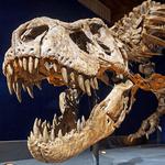 Houston Museum of Natural Science