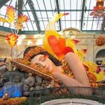 Bellagio Conservatory & Botanical Gardens
