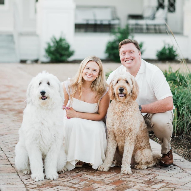 Dog Boarding Fund