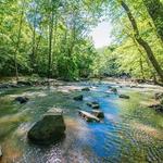 William B. Umstead State Park