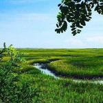 Eastern Shore of Virginia National Wildlife Refuge
