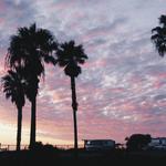 South Carlsbad State Beach