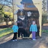 Wildlife Safari