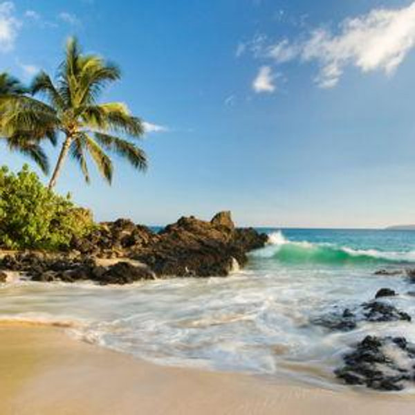 Hawaiian Honeymoon