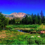 Winter Park Camping
