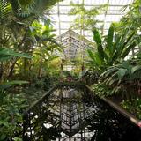 Garfield Park Conservatory