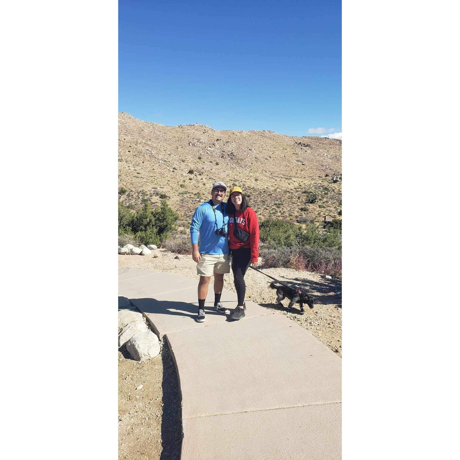 Joshua Tree!