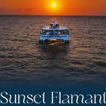 Sunset Flamento