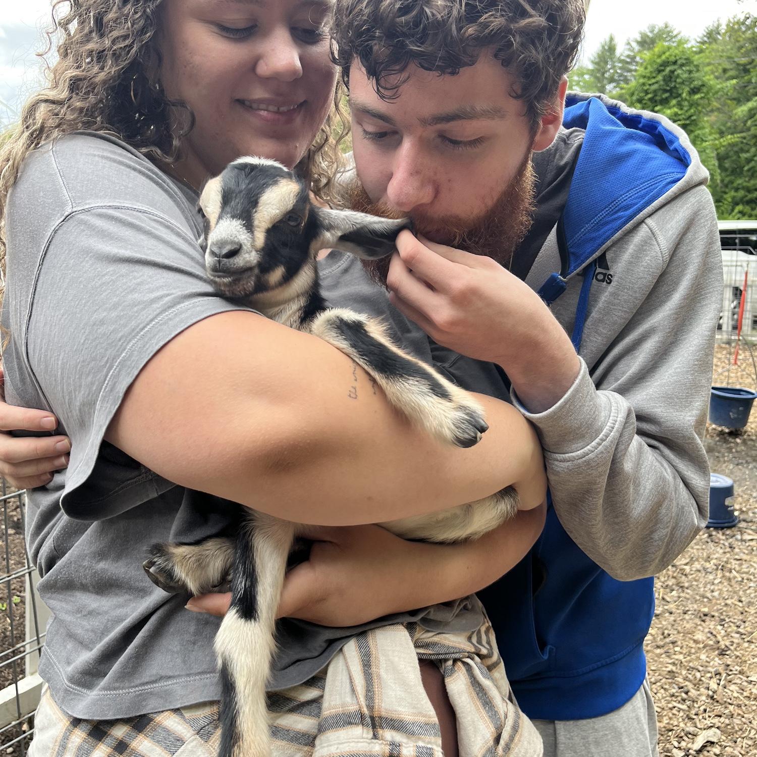 I got him to kiss a goat, not a small task!