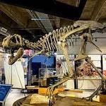 Asheville Museum of Science