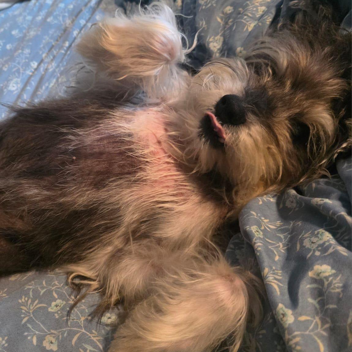 Bandido, being bandido